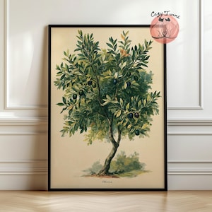 Op de afbeelding: Een ingelijste botanische print van een olijfboom met donkergroene bladeren en kleine zwarte olijven op een crèmekleurige achtergrond. Het woord Olivier staat in het zwart onderaan in het midden gedrukt. Het kunstwerk heeft een dunne zwarte lijst.