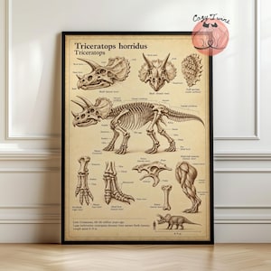 May include: A framed educational poster on aged paper featuring anatomical illustrations of a Triceratops horridus skeleton. The print displays various bone structures, skulls, and limb details with scientific labels in black text on a tan background.