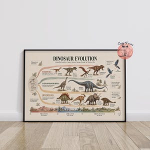 Könnte beinhalten: Ein horizontales Poster mit dem Titel Dinosaur Evolution, das eine Zeitleiste der Dinosaurier-Linien durch das Mesozoikum zeigt. Das Diagramm enthält verschiedene Dinosaurier-Illustrationen, darunter Theropoda, Sauropodomorpha und Ornithischia, mit Textbeschriftungen.