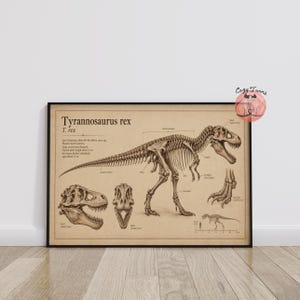 May include: A rectangular poster on tan paper featuring a black ink illustration of a Tyrannosaurus rex skeleton. The print includes anatomical labels, a side view of the skull, a front view of the skull, and a scale reference with a human figure.