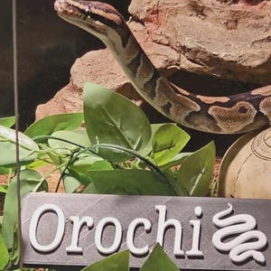Custom Pet Enclosure Name Sign