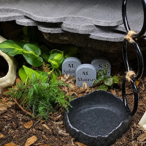 Peut inclure: Un terrarium comprenant trois petits marqueurs gris en forme de pierre tombale avec le texte M. Splint, M. Mouse et S. gravé. La scène inclut un bol gris foncé texturé, du feuillage vert, une structure blanche incurvée et des anneaux noirs.