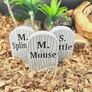 May include: Three light gray, rounded, tombstone-shaped decorations with a wood grain texture and black lettering. The center piece reads M. Mouse, while the flanking pieces show M. Splin and S. ttle, all arranged in a cluster on wood chip bedding.