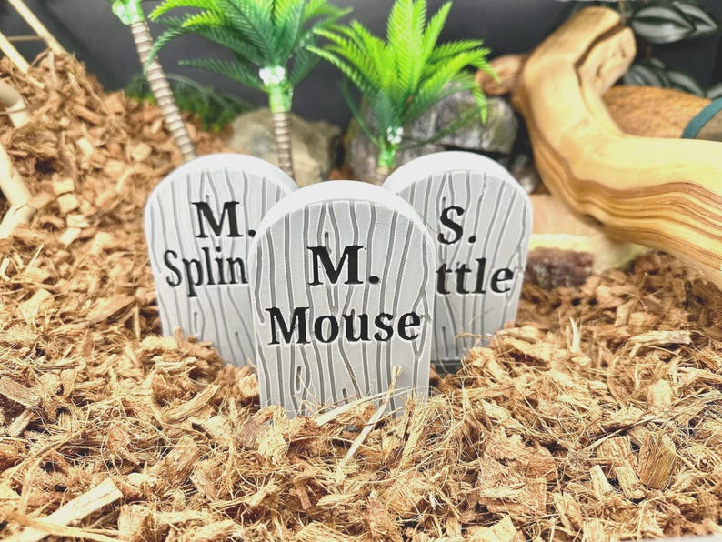 May include: Three light gray, rounded, tombstone-shaped decorations with a wood grain texture and black lettering. The center piece reads M. Mouse, while the flanking pieces show M. Splin and S. ttle, all arranged in a cluster on wood chip bedding.