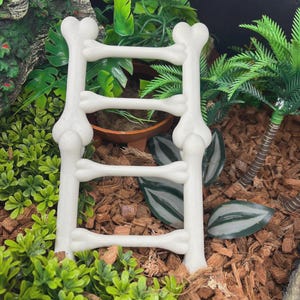 May include: A white ladder constructed from molded bone-shaped pieces. The structure features two long vertical bones serving as side rails and four horizontal bones acting as rungs, creating a uniform, off-white, matte-textured climbing accessory.