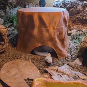 May include: A light brown, cylindrical reptile hide shaped like a tree stump with a smooth top and textured sides. A white snake is partially visible, resting inside the arched opening at the base of the structure, which sits on a dirt floor.