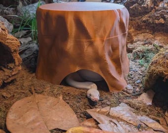 Tree Trunk Humid Hide