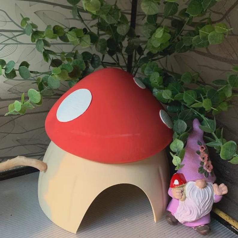 Mushroom Reptile Hide image 4