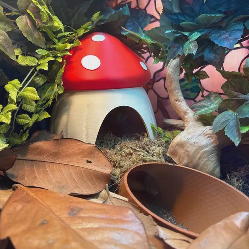 May include: A red and white mushroom-shaped hideout with a rounded cap and a central arched opening, surrounded by green foliage, brown dried leaves, a terracotta-colored bowl, and a light-colored branch in a naturalistic enclosure.