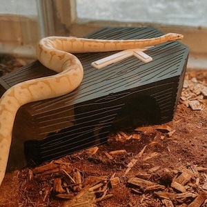 May include: A light tan snake with a patterned back rests on top of a black, coffin-shaped reptile hide. The hide features a textured wood grain surface and a white cross emblem on the lid, with a dark arched opening on the side for entry.