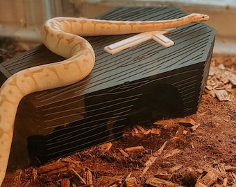 Coffin Reptile Hide