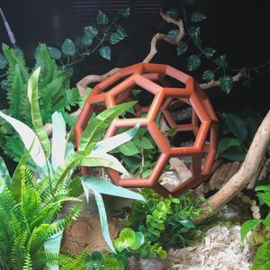 Python Playgrounds Climber zdjęcie 4