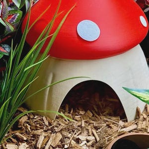 May include: A mushroom-shaped hideout featuring a bright red cap with white circular spots and a cream-coloured base. The base includes a large arched opening at the front, providing a hollow interior space for small animals or decorative use.