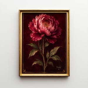 Puede incluir: Una lámina de arte enmarcada que muestra una gran peonía de color rosa intenso con un centro amarillo, sobre un fondo burdeos oscuro. El tallo tiene hojas verdes y la palabra Peony está impresa en la esquina inferior derecha en oro.