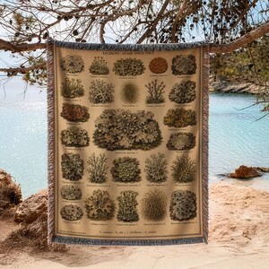 Vintage Botanical Lichen Taxonomy Chart French | Woven Throw Blanket NIIQ1