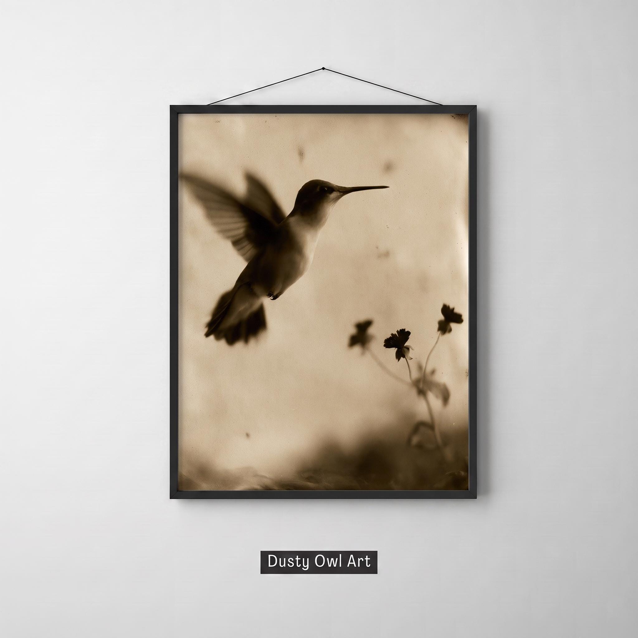 Vintage Hummingbird Print, Sepia Wet Plate Bird Wall Art, Antique Naturalist Photography, Dark Academia Nature Decor, Digital Download