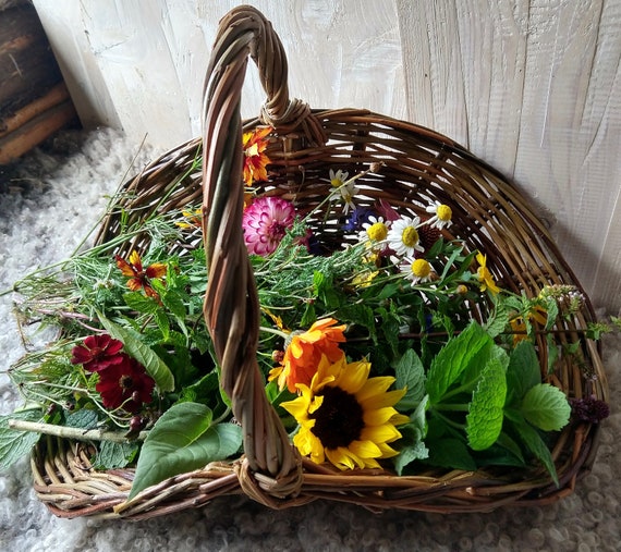 Flower Gathering Basket Woven From Scottish Willow. Etsy
