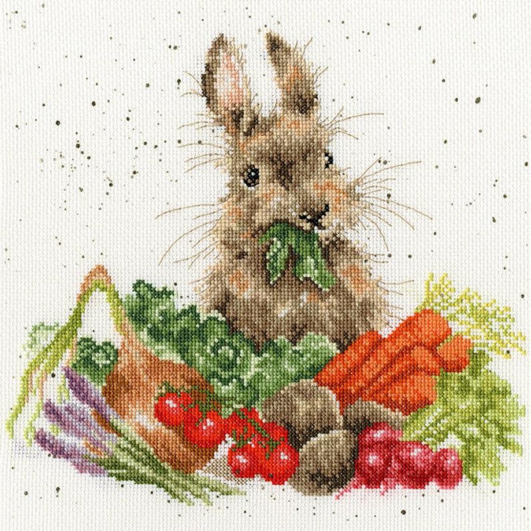 Grow Your Own Counted Cross Stitch Kit by Bothy Threads Baby Etsy