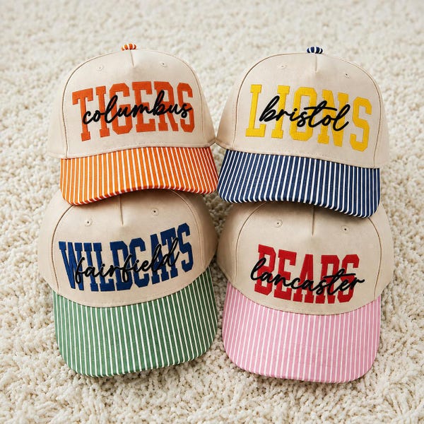 Custom Puff Embroidered Hat, Personalized Team Name Baseball Cap, School Sports Gift