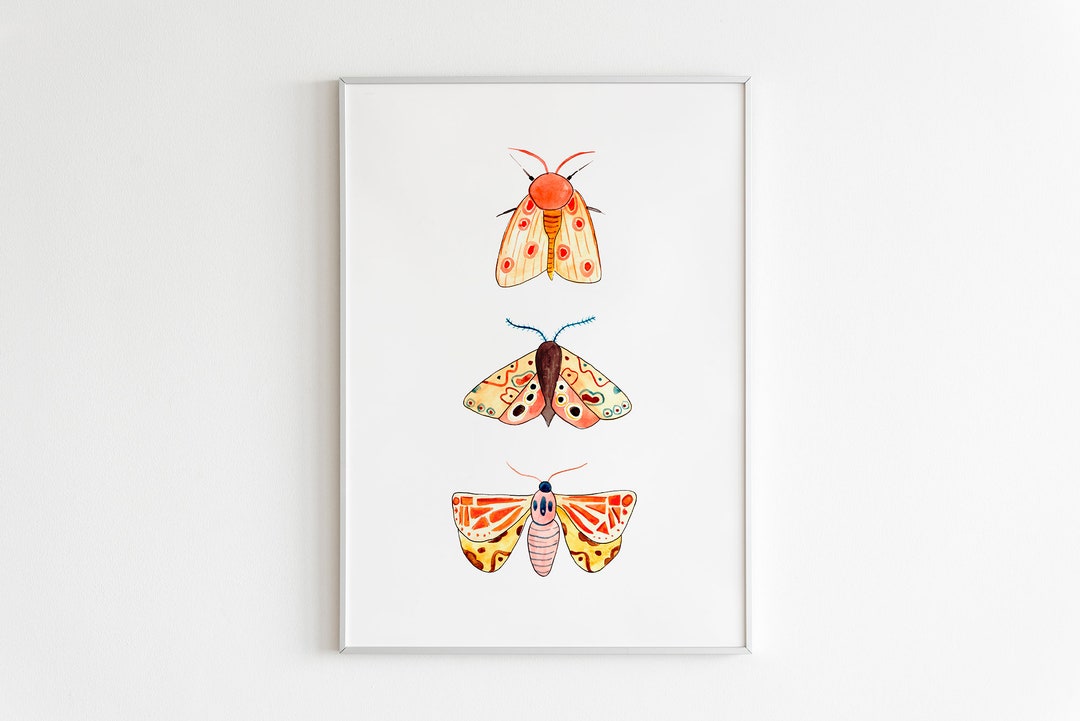 Moth Print - Insect Print - Butterfly Wall Art - Nursery Wall Art ...