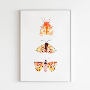 Moth Print - Insect Print - Butterfly Wall Art - Nursery Wall Art - Bugs Print - Kids Room Decor - Animal Nursery