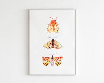 Moth Print - Insect Print - Butterfly Wall Art - Nursery Wall Art - Bugs Print - Kids Room Decor - Animal Nursery