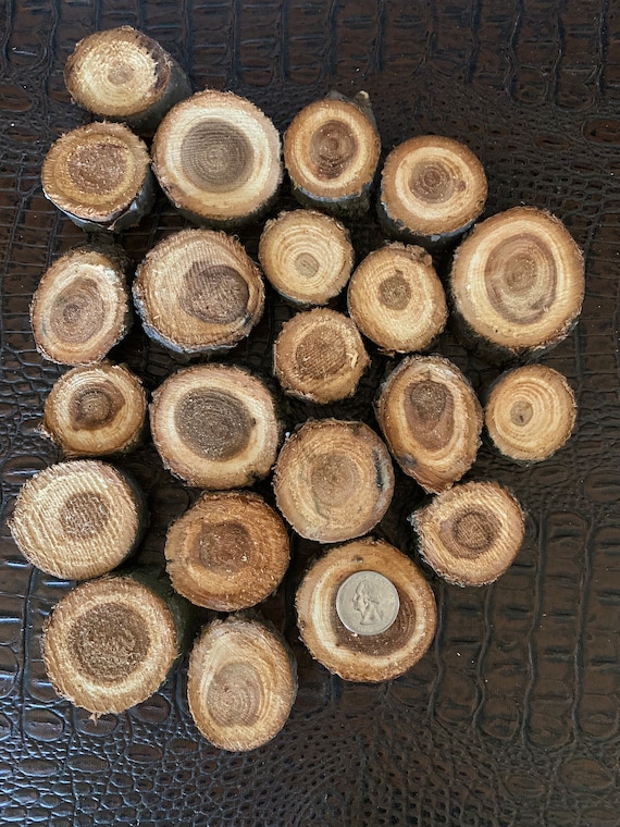 Autocarro Carico Di Tronchi Di Legno Immagine Stock - Immagine di