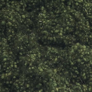 Wool Nepps - Hand Dyed - Fiber Effect - Spinning - Felting - Nuno - Wet Felting - Texture Fiber - Avocado - 1 ounce
