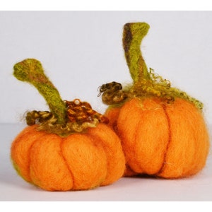 Needle Felting Pumpkin Kit - Orange - Great for Beginners - Great Holiday Gift