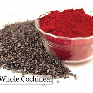 Natural Dye - Whole Cochineal - 1oz