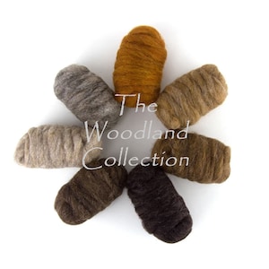 May include: An overhead shot of eight rolls of wool roving in various earthy tones, arranged in a circular pattern. The colors range from light beige to dark brown, with a golden-yellow center. The text "The Woodland Collection" is visible.