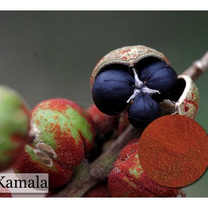 Kamala - 1, 2 or 4 oz size - Natural Dye