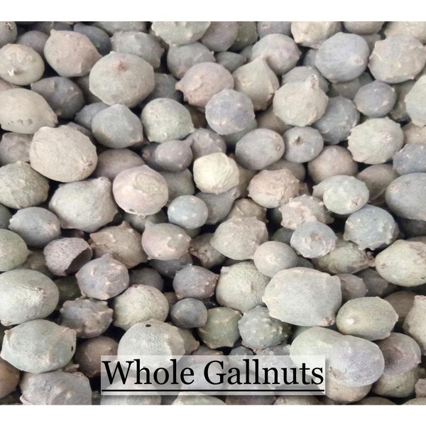 Oak Gall - Whole - Tannin Mordant - Natural Dye - Oakgall - Gallnut - 1, 2 or 4 Ounces