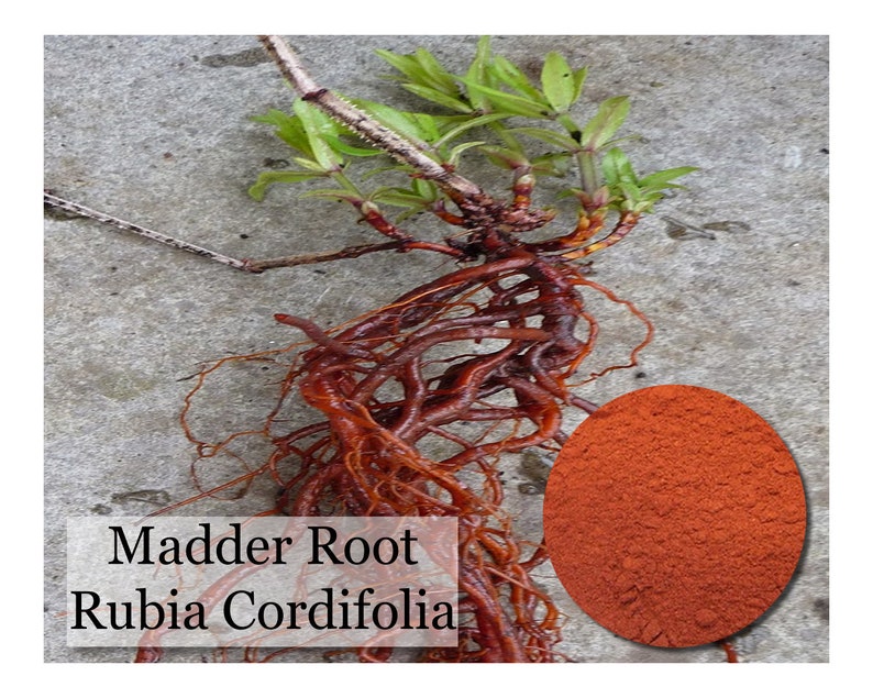 Madder Rubia Cordifolia 1, 2 or 4 oz size Natural Dye image 1