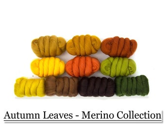 Autumn Leaves - Merino Wool Collection - 10 Colors - 250g - Needle Felting - Wet Felting - Spinning