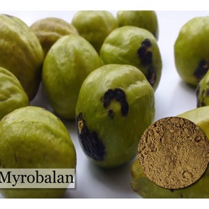 Myrobalan - Natural Dye - Tannin - 1, 2 and 4 ounce sizes