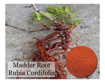 Madder - Rubia Cordifolia - 16oz - Natural Dye