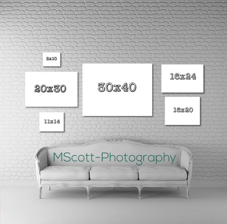 customized photo print sizes