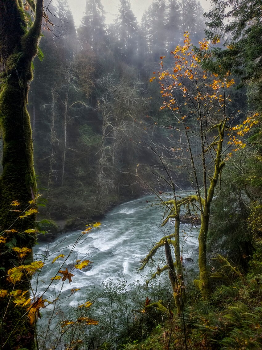 Mount Baker WA Fotografie Pazifik Nordwest Landschaft | Etsy