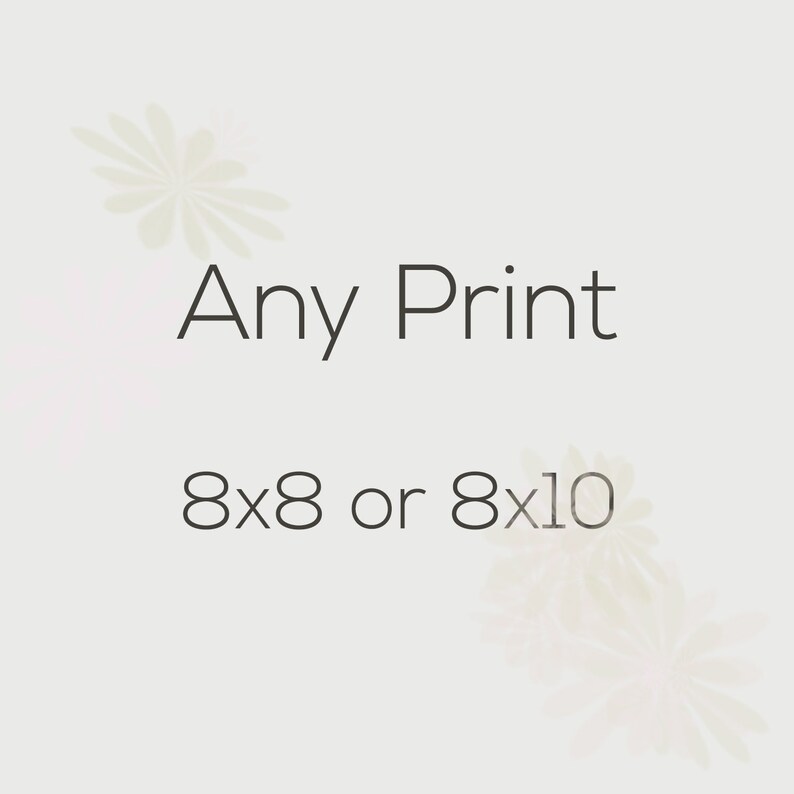 Custom Size 8x8 or 8x10 Fine Art Photography Print Landscape Etsy