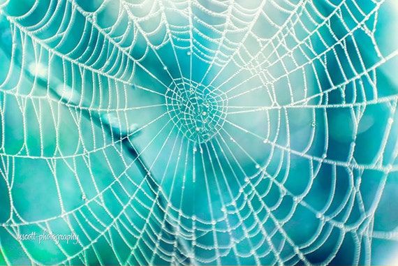 charlotte's web nursery decor