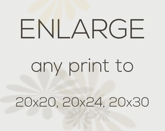 Large Wall Art Print | 20x20, 20x24 or 20x30 Print | Custom Square Print | Free US Shipping | Photo Enlargement | Poster Size Art