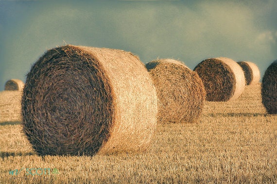 Farm Landscape Photography Hay Bale Picture Vintage Style Etsy Ireland