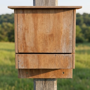 May include: A rectangular wooden box with a flat overhanging roof and a horizontal slot opening, mounted on a vertical wooden post. The structure features a natural light brown wood grain finish with visible texture and two small metal screws.