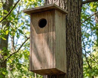 Owl House Plan PDF, Screech Owl & Kestrel Nest Box Woodworking Plans, DIY Wooden Owl Nesting Box Bird House, Instant Download