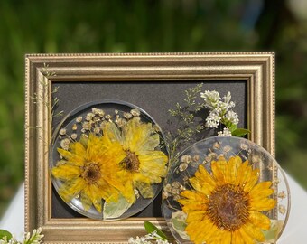 Puede incluir: Un marco rectangular dorado que contiene un paspartú negro y dos discos circulares de resina. Cada disco presenta girasoles amarillos prensados y pequeñas flores blancas secas incrustadas en el material transparente.