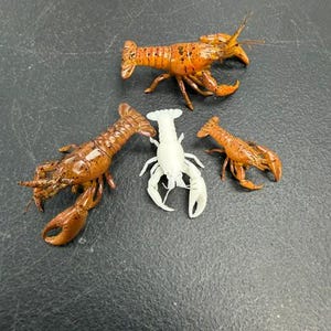 May include: Three small lobster figurines arranged together. One is a bright orange with dark speckles, one is a larger brown lobster with a glossy finish, and one is a solid white lobster figure positioned in the center of the group.