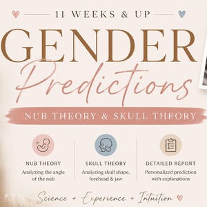 Puede incluir: Un gráfico digital para predicciones de género con el texto 11 WEEKS & UP GENDER PREDICTIONS NUB THEORY & SKULL THEORY. Incluye dos imágenes de ultrasonido etiquetadas como nub theory y skull theory, con iconos de análisis y texto descriptivo.