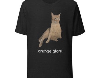 Orange Glory Katzen-T-Shirt | Lustiges orange getigertes T-Shirt