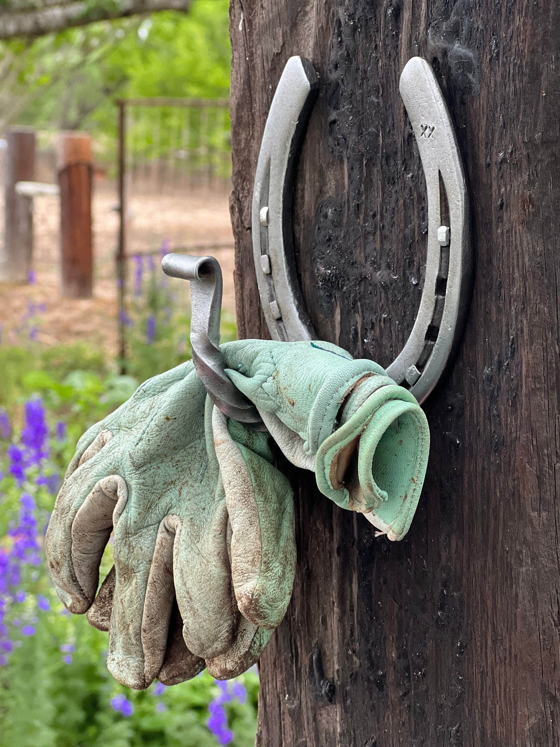 Horseshoe Hat Rack 